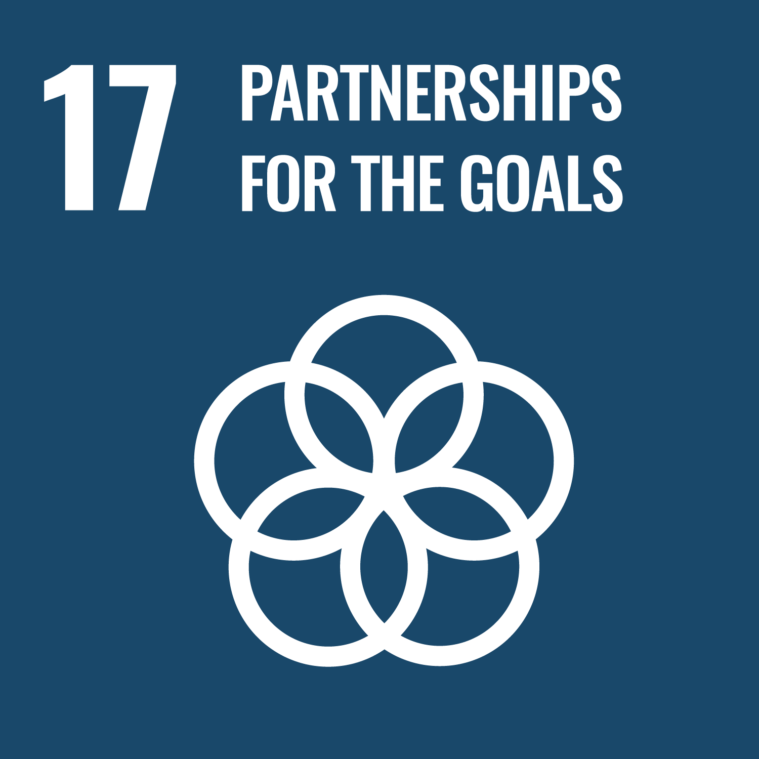 partnerships_for_the_goals