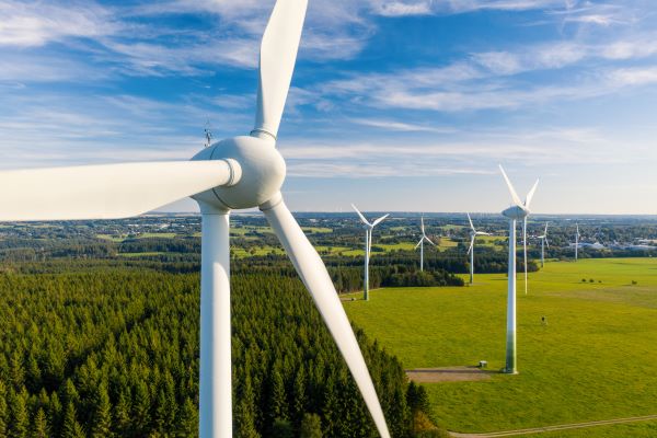 Wind Newsletter